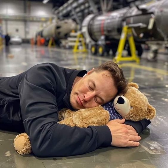 MAGAladyX's tweet photo. If Elon could wake up tomorrow with ONE wish granted, what would he choose? 🌍

A. 🚀 Humans on Mars
B. 🤖 AGI
C. 💰 $10T net worth
D. 🌎 Free speech everywhere https://t.co/zpogngIT8E