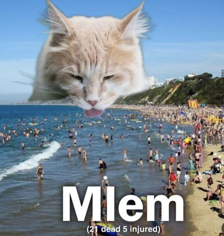 TweetsOfCats's tweet photo. https://t.co/7w73Dsh5ug
