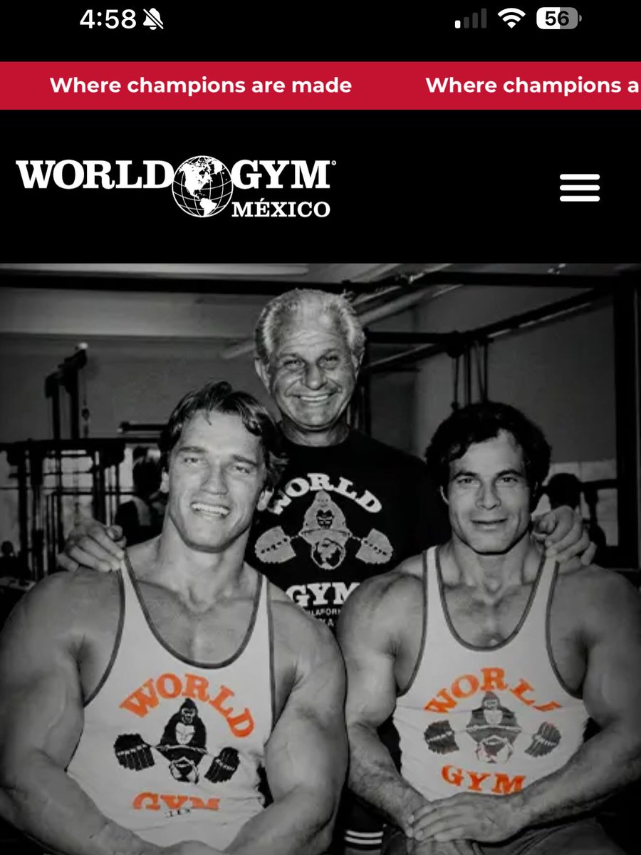WorldGymMexico's tweet photo. Un mes muy mundialista con @worldgymmexico y mi código NINI

#gymrat #gym #gymmotivation https://t.co/jixdxQopX2