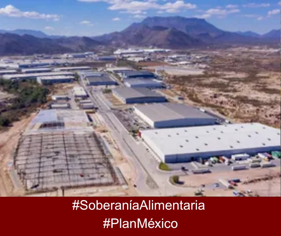 MorenaEsPatria's tweet photo. El desarrollo regional también significa que las personas puedan encontrar oportunidades cerca de donde viven, sin tener que migrar para buscar un mejor futuro. #PlanMéxico #SoberaníaAlimentaria https://t.co/9wfl4FhDfA