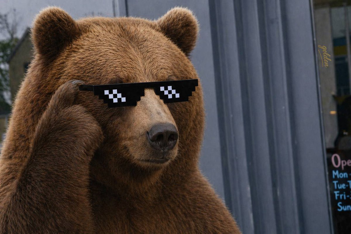 sohailshai76's tweet photo. @AutismCapital The bear won't hurt you, don't worry son https://t.co/QqQvhKCvBv