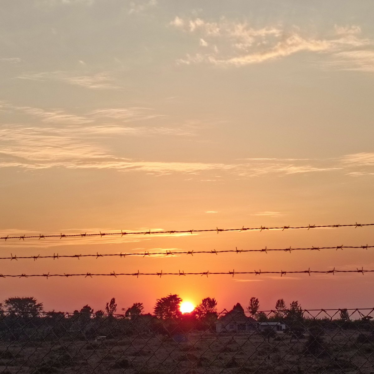 Limitless_Tours's tweet photo. Sunset is never enough. https://t.co/sNpI0b5SmA