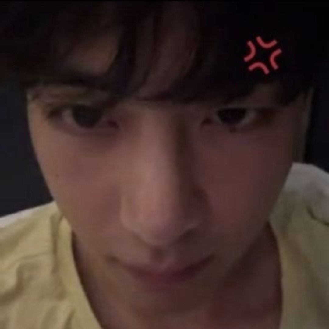 lilythvv's tweet photo. icon               owner https://t.co/cD2QkXBzwJ