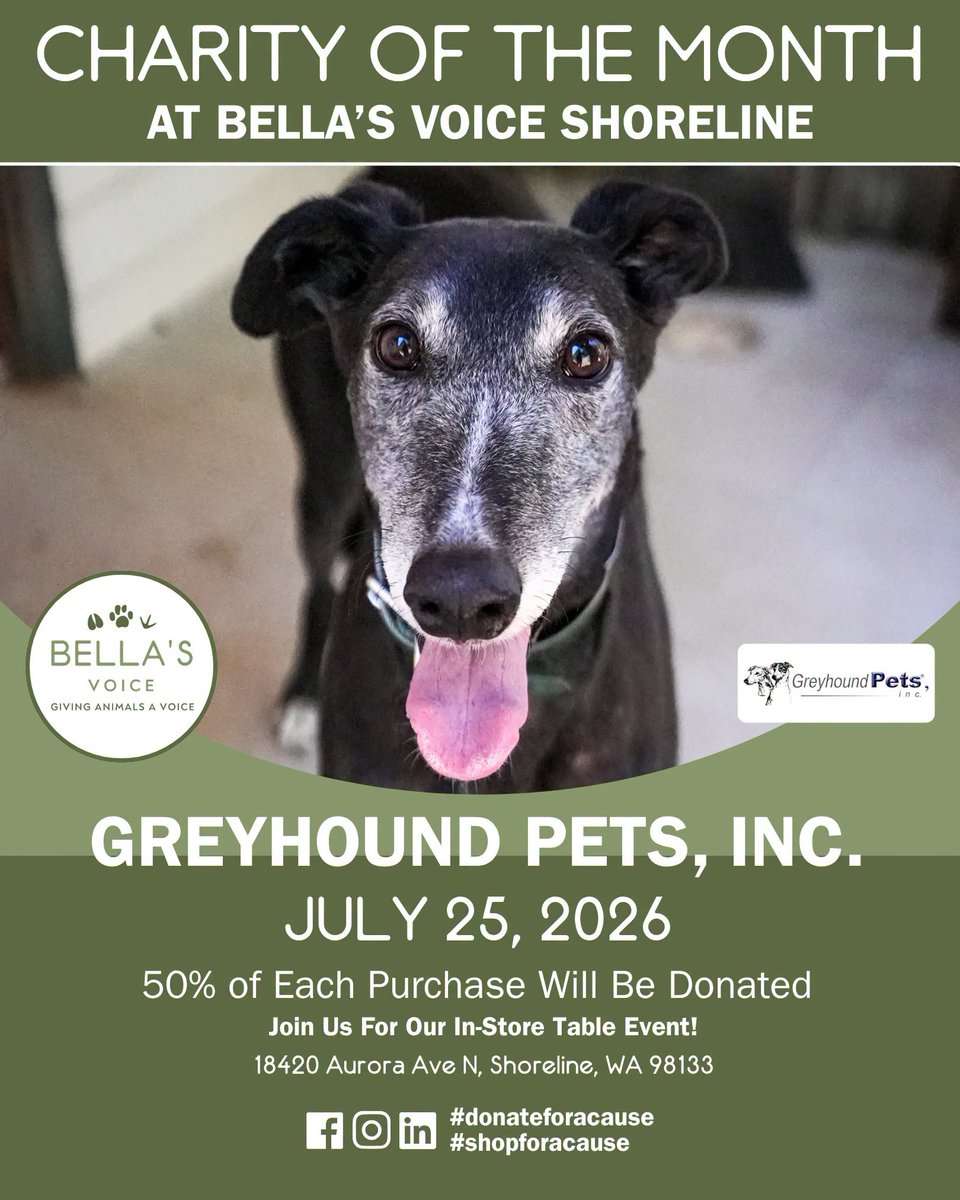 GPIGreyhounds's tweet photo. It's finally summertime, &amp; we're so excited to be supporting two amazing dog rescues this month! ❤️
_
Our Shoreline store is ready for Greyhound Pets, Inc. from Woodinville, WA! They exist to find responsible, loving homes for the greyhounds &amp; greyhound mixes in their care. ❤️ /1 https://t.co/IDjuhQLczW
