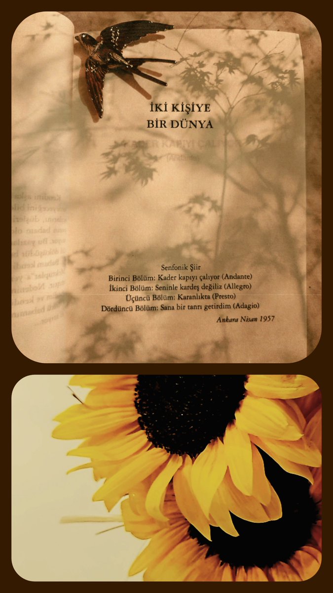 bidemlikkcay's tweet photo. ' Her güzellik, O'nun cemâlinde tüllendi ' 🍃✨ https://t.co/X9ruUWOUX4