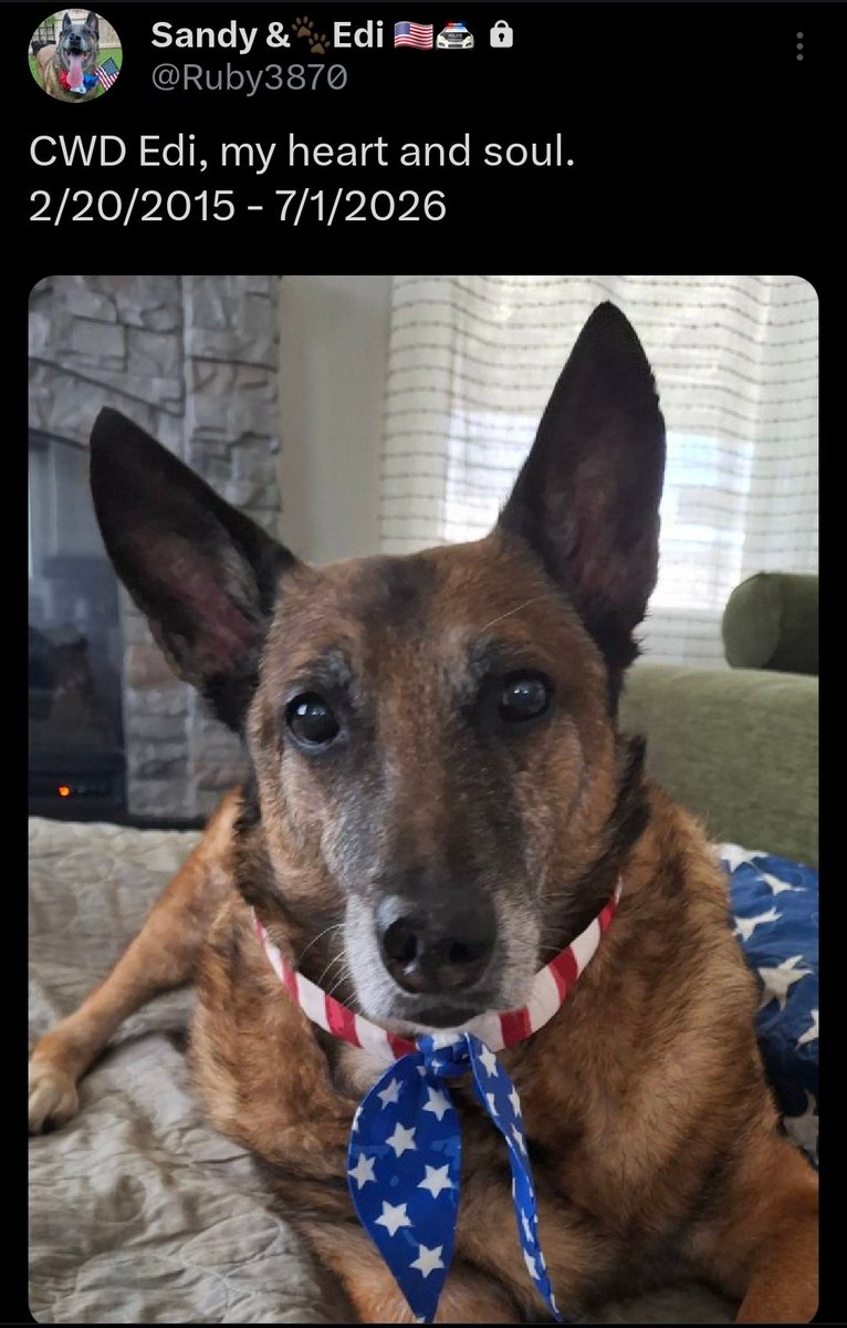 K9Garm's tweet photo. Sweet Edi. I loved you as I do my own dogs.

Rest easy, goodest of boys 🖤

I am so very sorry Sandy 🖤
@Ruby3870 https://t.co/byo9YIMG7r