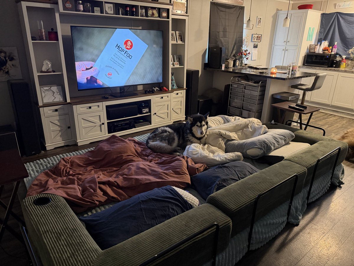 M4gzy's tweet photo. Set up mega-couch for @MrsMagzy and Arya decided it was for her https://t.co/7yh8BYqvmU