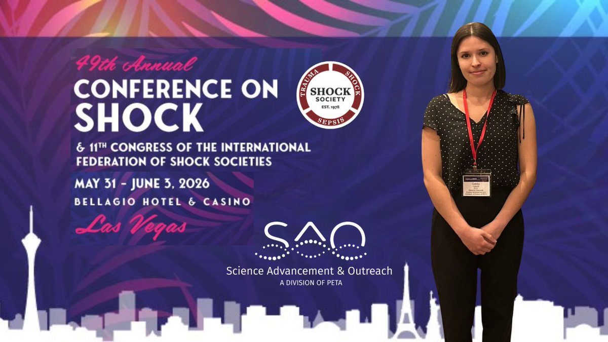 SAOscience's tweet photo. In June, SAO attended #Shock2026, the @ShockSociety’s 49th Annual Conference on Shock. 

👩‍🔬 Dr. Gabby Vidaurre presented her poster, "Modernizing Sepsis Research to Advance Human Health," which described strategies for shifting the field away from experiments on animals and toward human-centered science. 

From updates on @NIH priorities for sepsis research to innovative approaches—including organ-on-chip systems, AI, and patient-derived studies—the meeting highlighted excellent human-based research from across the country. 💫🔬🏥🇺🇸💫

Featuring work by @EmilyMihalko, @AdiNgr7, @rkamaleswaran, @michaelripple, @GrunwellJocelyn, and researchers from @UVMLarnerMed, @dukesurgery, @PittTTMRC, @EmoryMedicine, @ChildrensNatl, @CincyResearch, @BrownMedicine, @UFMedicine, and more.

Link in the comments to our conference recap!⬇️