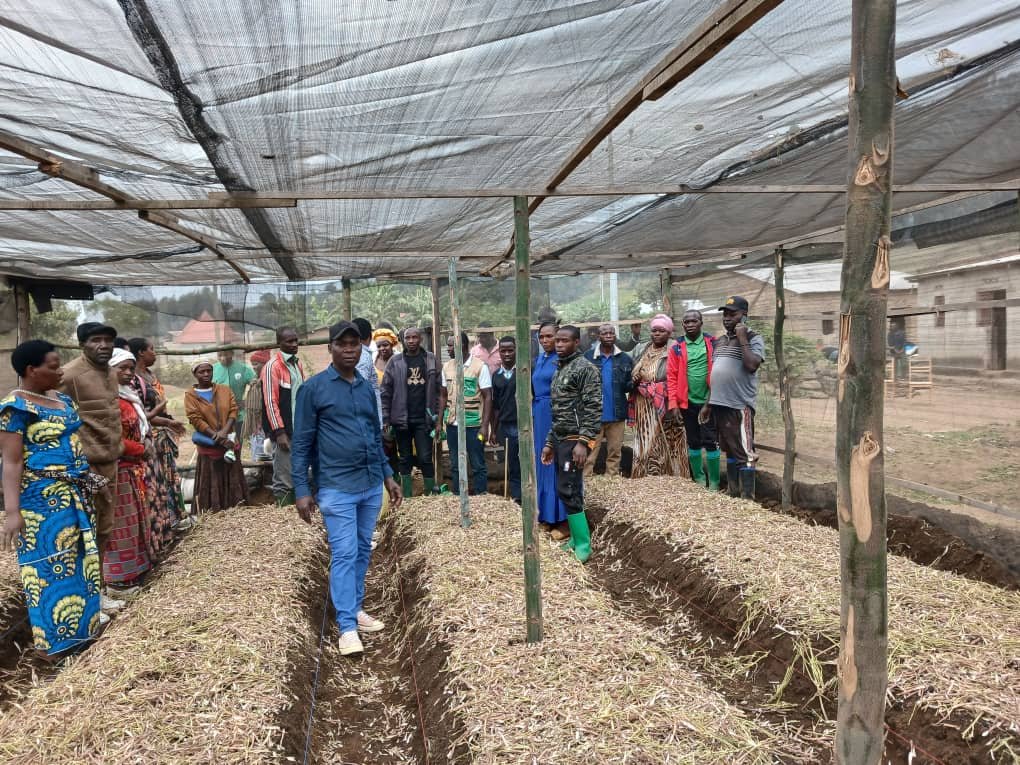 HoReCo_Rw's tweet photo. As part of the #KwihazaProject, funded by the European Union (EU) through National Agricultural Export Development Board (NAEB) under the Horticulture component and implemented by #HoReCo , 20 lead farmers from the KOTURU and KOBATU cooperatives visited KOPINDABU in Busasamana , Rubavu District for a field  exchange on professional onion production. The farmers received hands-on training in onion nursery establishment and other improved agronomic practices to boost productivity and strengthen sustainable horticulture.