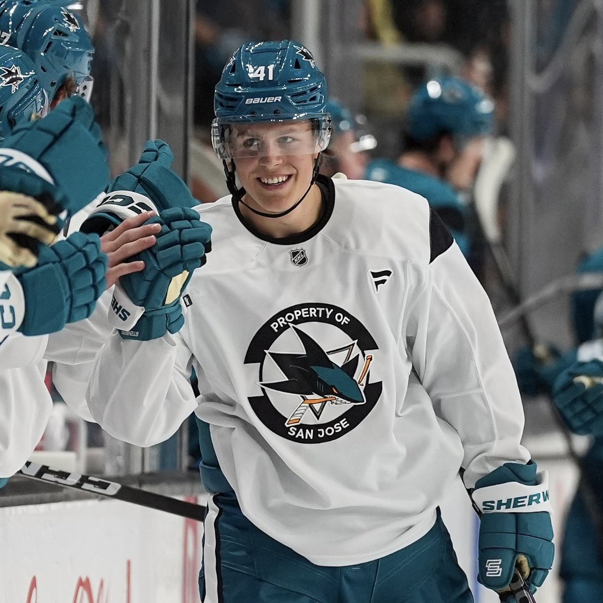 sancelebrini's tweet photo. he’s so happy to be a shark https://t.co/McnC3uuZ8j