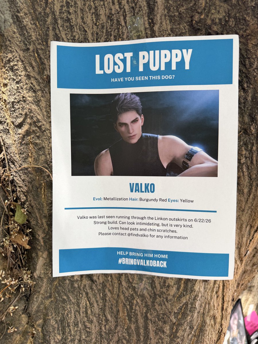 wolfiepips's tweet photo. Visited our Lost Puppy Memorial!

INFOLD BRING OUR LOST PUPPY HOME!!! 

#BRINGVALKOHOME #COMEHOMEVALKO https://t.co/7rvU0oNZsp