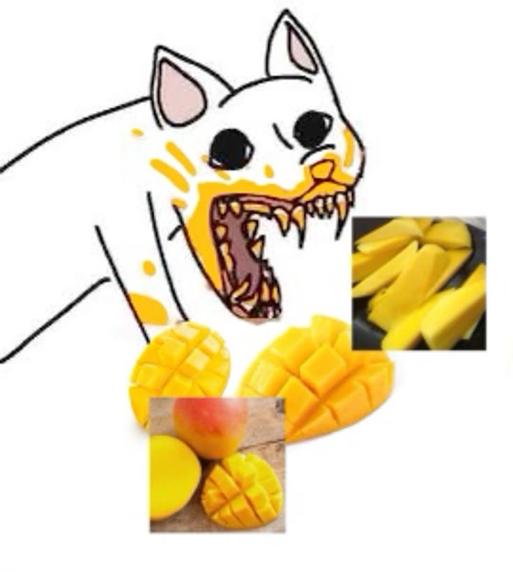 NSQ_Alex's tweet photo. 「マンゴーを食べてる色んなもののイラストにめちゃくちゃハマってて、もう大ファンなんだよね。大好きな milanesa de pollo と同じくらい好きかも。 https://t.co/LYTH8c6Zir