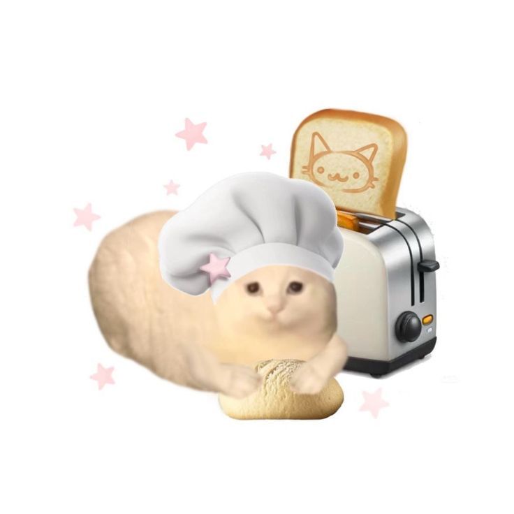 c(han)hee ᯓ★ tweet media