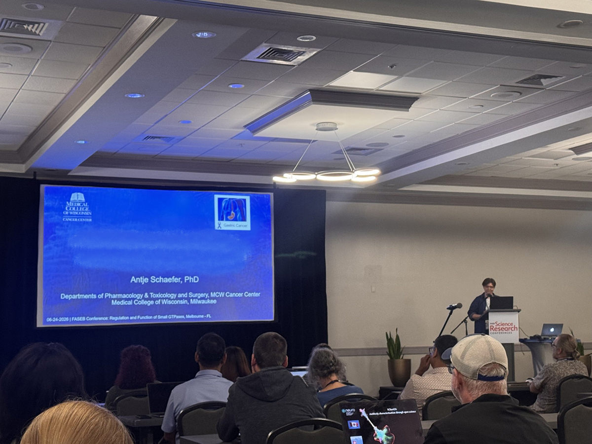 AntjeSchaeferZ's tweet photo. Grateful for the opportunity to present some of our emerging data on RHOA-driven #GastricCancer from my lab at the 2026 @FASEBorg Small #GTPase meeting. This conference series was the 1st meeting that I attended as a PhD student. #NewPI @McwPharmTox @MCWCancerCenter https://t.co/Zi0ki0kmrD