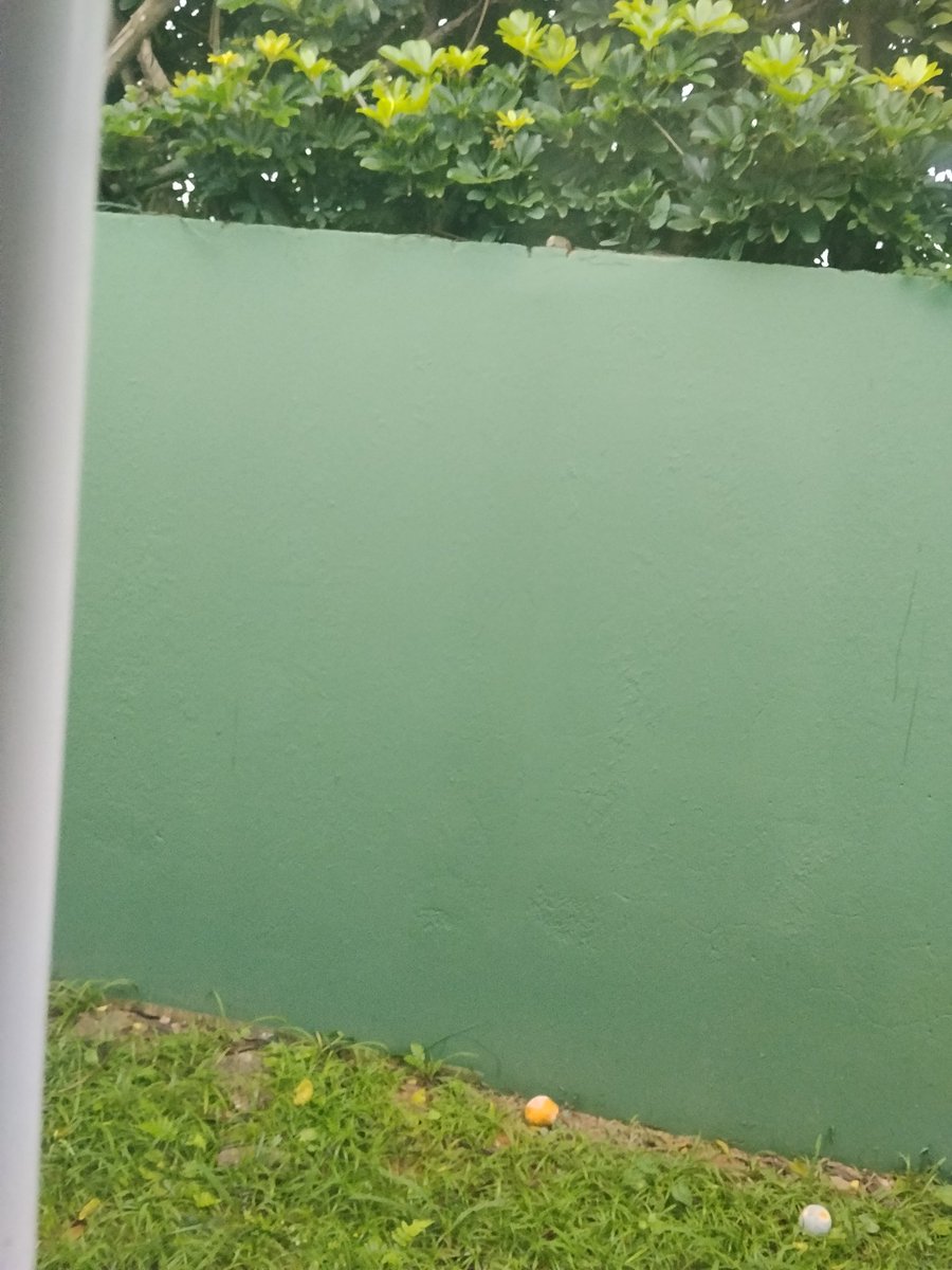 NeonGenesisZ1BI's tweet photo. Esse é o PIOR tom de verde que eu já vi na minha vida https://t.co/xZIKFf1PMt