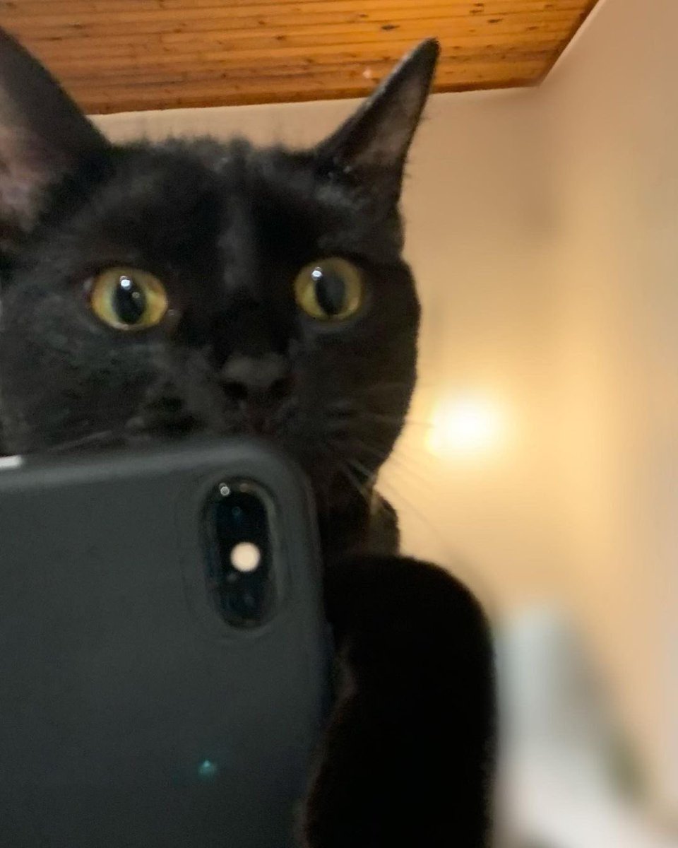 goaTaur4's tweet photo. #face_reveal https://t.co/irScMspEGD