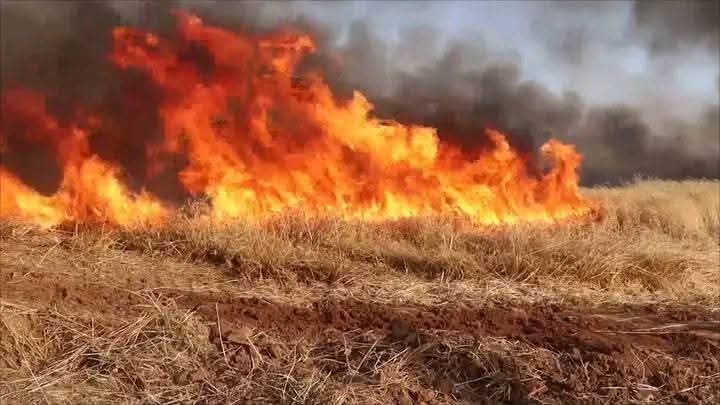 SkanderElKef's tweet photo. Publication d'un Homme de loi Tunisien 🇹🇳 et un patriote 🇹🇳.

Même si les médias Tunisiens 🇹🇳 ne nous disent pas la vérité sur qui se cache derrière les incendies qui touchent les récoltes de blé, les oliviers, les palmiers et les forêts en Tunisie 🇹🇳, il existe des indices qui nous permettent de le savoir...

​Quel est le pays qui est dérangé par les exportations Tunisiennes 🇹🇳 de dattes Deglet Nour 🇹🇳  qui une marque 100% Tunisienne 🇹🇳 et d'huile d'olive, et dont le ministre est sorti pour prétendre que la Tunisie ne produit pas de Deglet Nour mais exporte les dattes de son pays, et que les prix internationaux que la Tunisie remporte pour son huile d'olive le sont grâce à l'huile de son pays que la Tunisie réexporte ? Un peuple envieux et menteur, adepte mensonge, qui ne recule devant rien pour s'accaparer ce qui appartient aux autres.

​Et quel est le pays qui a lancé une initiative en attribuant le qualificatif de " El Khadra" "Verte" à son propre pays, agacé de voir ce titre associé à la Tunnise et de voir une Tunisie verte "Tounes el Khadra  grâce à ses forêts et son agriculture ?

Aucun pays au monde n'a été dérangé par ces choses-là à part eux...

​Si vous avez toujours pas reconnu ce pays et ce peuples, Voici quelques indices : Ce peuple est connu pour calomnier les gens, porter atteinte à leur honneur des autres , propagandistes , et parler excessivement et disent qu'ils ont le nif , car il souffre de complexes historiques dans ce domaine et cherche à attribuer aux autres sa propre infamie et son manque de virilité. Un peuple complexé qui souhaite détruire la Tunisie dans tous les domaines pour ressentir une supériorité maladive...

​L'avez-vous reconnu ?

N'importe quel enquêteur débutant n'aurait pas besoin de beaucoup d'intelligence, avec les quelques indices que j'ai , pour identifier ce pays qui est : L'Algérie un pays immonde qui est une entité créée de toutes pièces par la France avec un peuple completement endoctrinés dont la Tunisie a été maudite par le voisinage...

La main destructrice de l'Algérie, facteur de déstabilisation de la Tunisie & de toute l'Afrique du Nord et du Sahel, face au silence complice des « khawatistes » Tunisiens.

#Tunisie