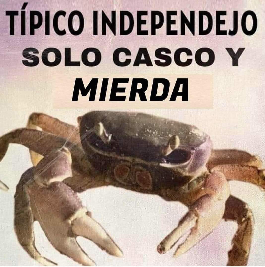 tatopineiro43 tweet picture