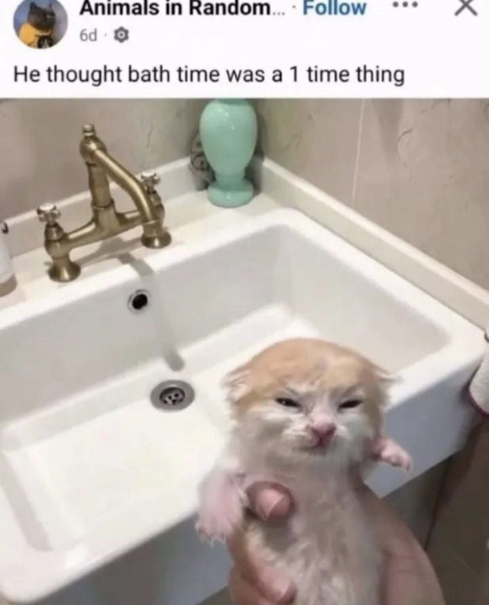 RespectfulMemes's tweet photo. https://t.co/SagIeCmpo6
