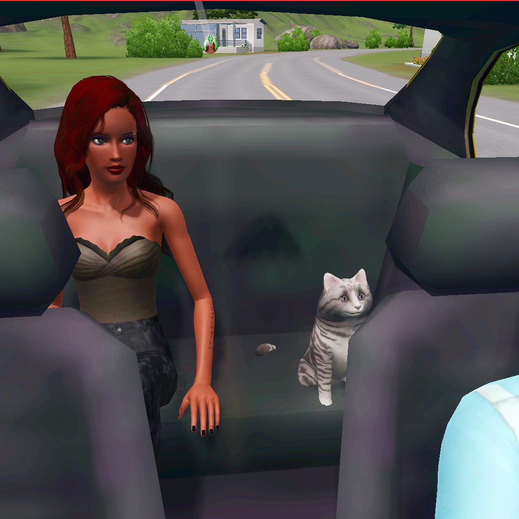 t0nischwartz's tweet photo. my sim was moving to a different place and her cat got in the passenger seat 😭 https://t.co/rE4lAKx4fh