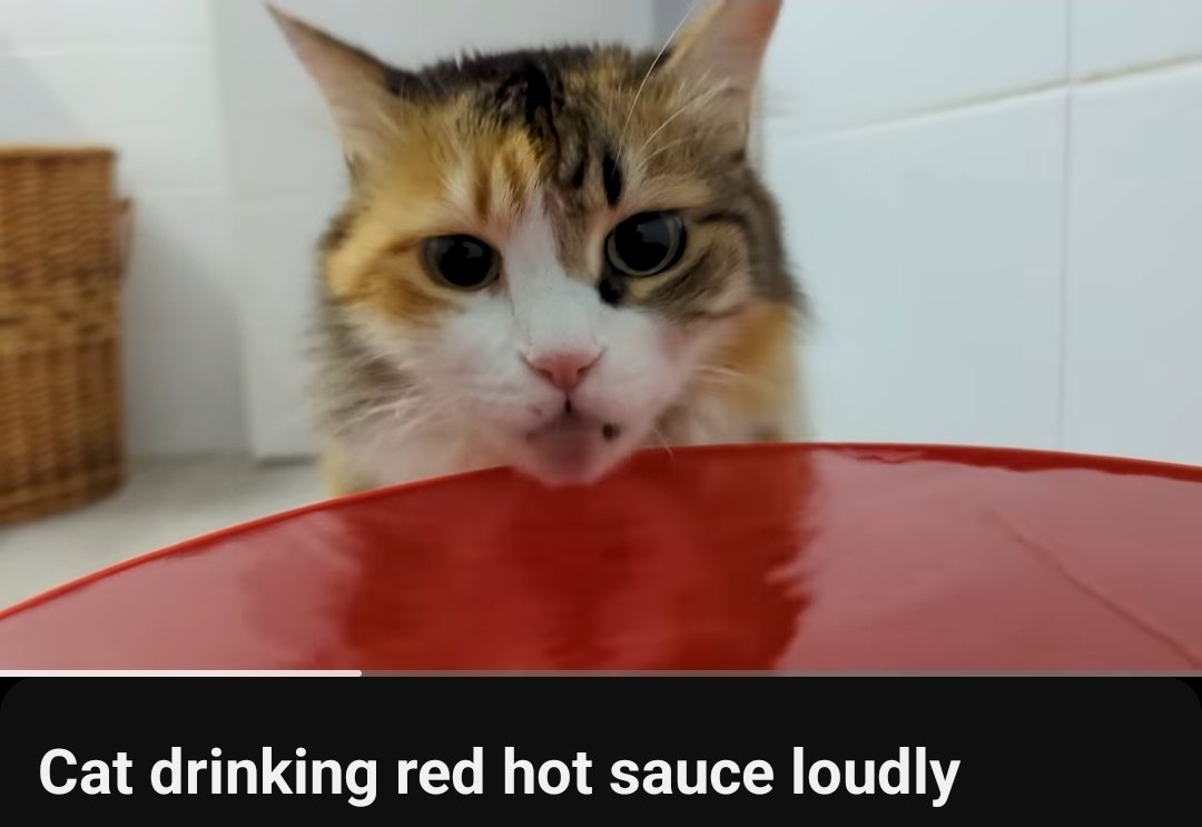 PazonSOL's tweet photo. The spicy ramen was just the start.
Now shes drinking hot sauce straight. 🌶🥵 https://t.co/1yQUFmpCK6