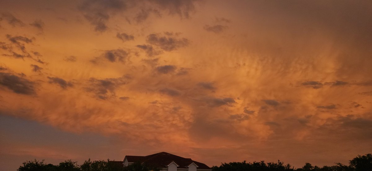 rkymtnman1981's tweet photo. Looking east while the sun sets in the west... those storm clouds are gathering some incredible, eerie golden light. โ๏ธorange skies always hit different. #Sunset #BrandonFL #Flwx @bn9weather
@mcclureWX
@Mike_Clay https://t.co/sKYG9sO9lz
