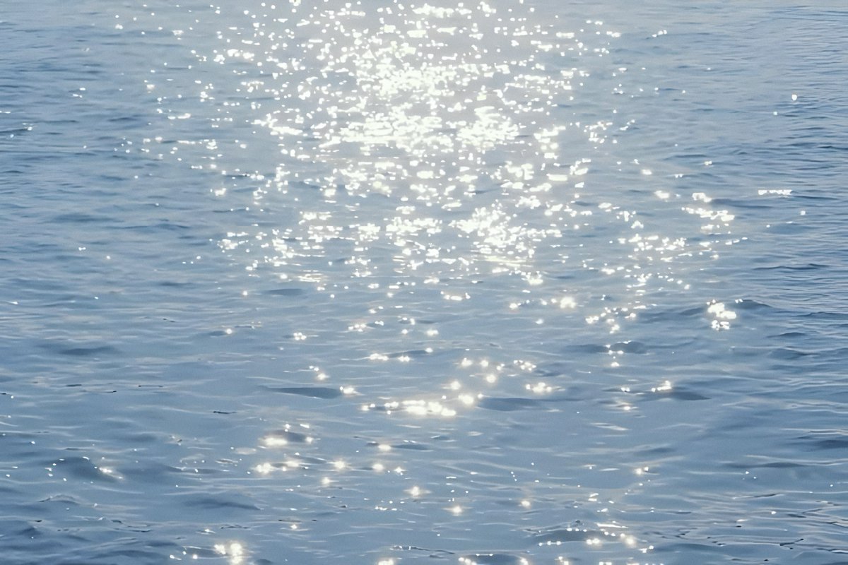 gardenofcolours's tweet photo. when sunlight turns into diamonds https://t.co/tx7Yfd5Kmt