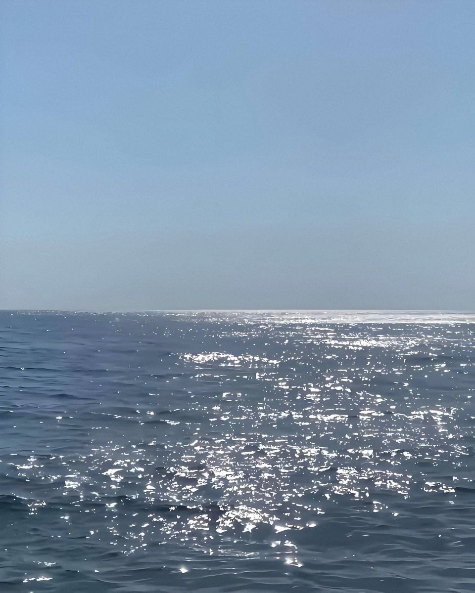 gardenofcolours's tweet photo. when sunlight turns into diamonds https://t.co/tx7Yfd5Kmt