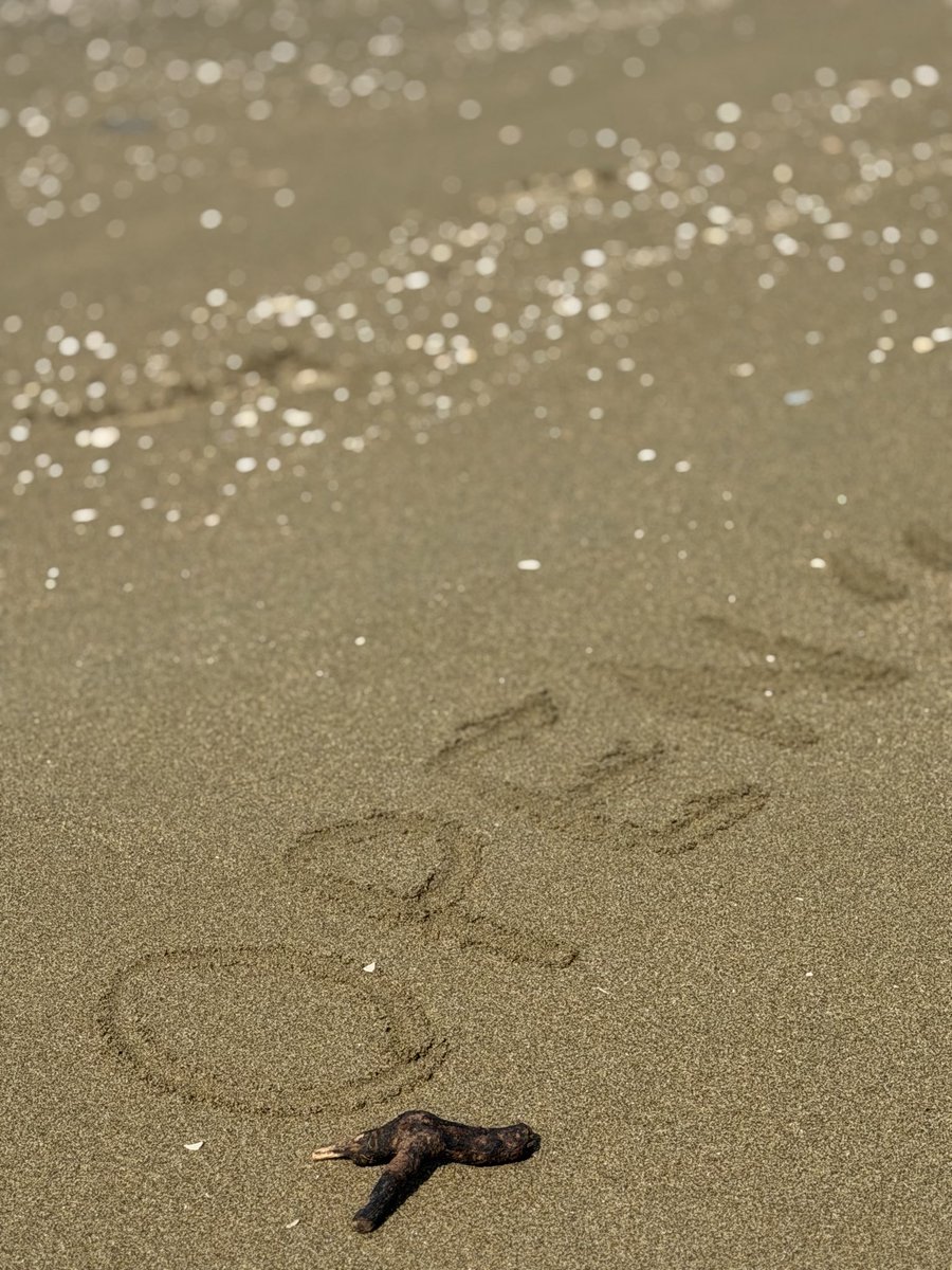 ONEOFFCAFE's tweet photo. おはようございます
7月3日金曜日
10時OPEN-17時CLOSE
（16時30分LO）

いい天気になりました☀️
今日も元気に営業です。
砂浜を歩くとクラゲが
いっぱいうちあがってました

#ONEOFFCAFE
#ワンオフカフェ
#たつのカフェ https://t.co/cyVqFYqi6f