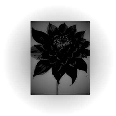 AM0REDIVINO's tweet photo. ⠀⠀⠀⠀⠀
⠀⠀⠀⠀⠀⠀
⠀⠀⠀⠀⠀⠀𝑀 𝑜 𝑛 𝑜 𝑟 𝑜 𝑙
⠀⠀𝑳𝑶𝑺 𝑬𝑪𝑶𝑺 𝑫𝑬 𝑨𝑴𝑨𝑳𝑰𝑨⠀⠀
⠀⠀⠀⠀⠀⠀𝘗𝘢𝘳𝘵𝘦 𝘶𝘯𝘰
⠀⠀⠀⠀⠀⠀⠀⠀⠀⠀
⠀⠀⠀⠀⠀⠀⠀⠀⠀ https://t.co/4b8yldlP12