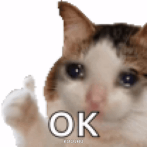 okcatcrying's tweet photo. ok bonded https://t.co/G7eyXa9fOU