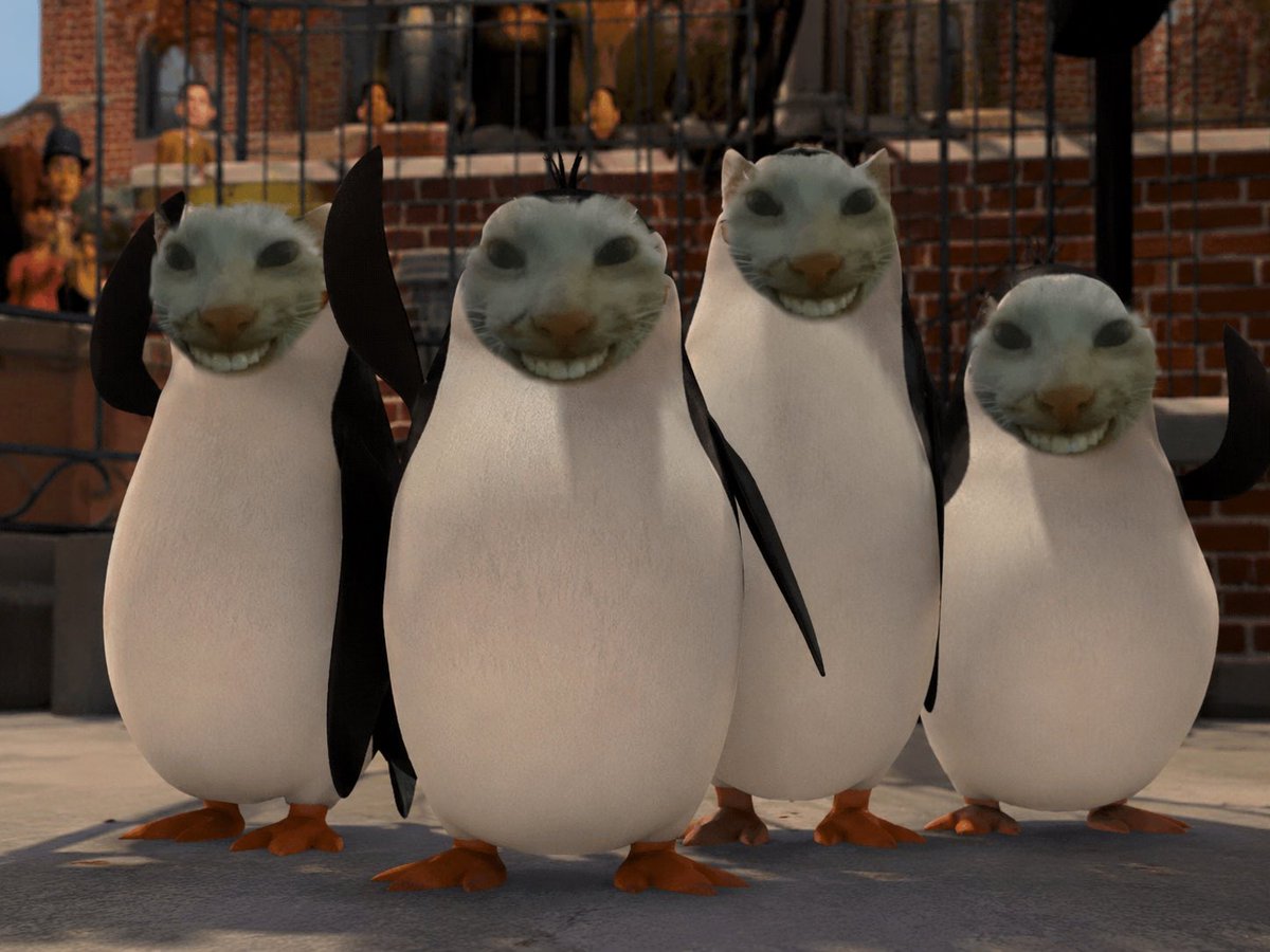 smilingcatp_fun's tweet photo. Smile n wave boys https://t.co/lDrKOMZHm7