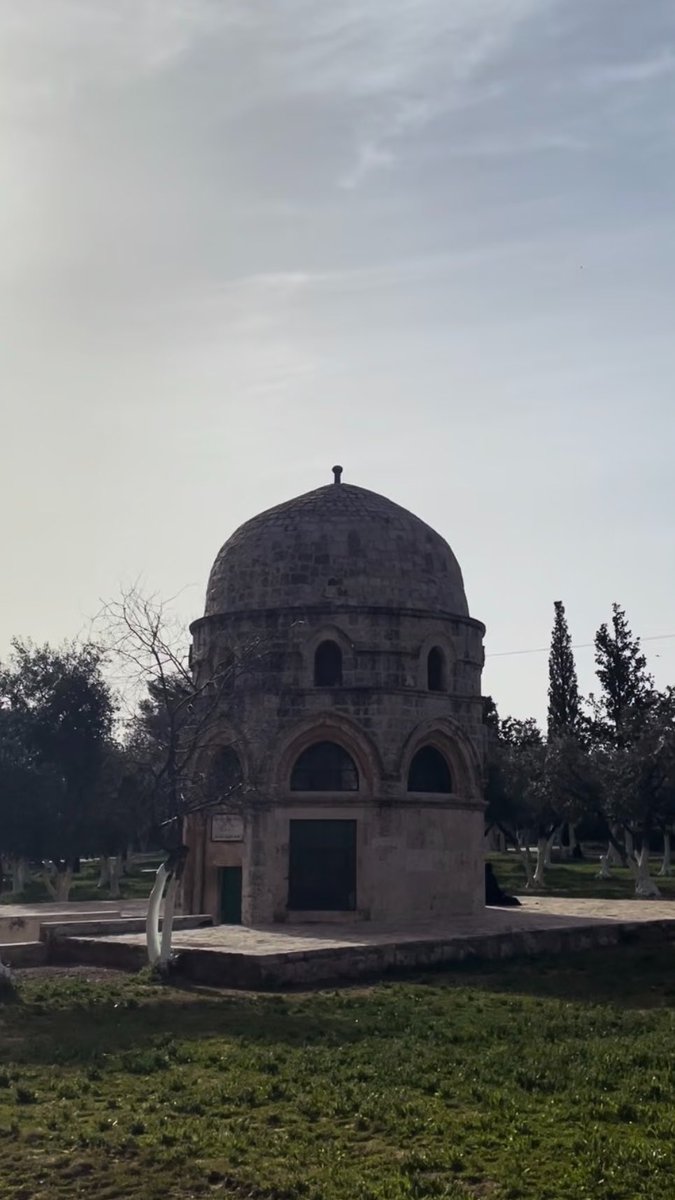 s17_q1's tweet photo. 𝘑𝘙𝘜 ~ 🇵🇸 https://t.co/WDIjdr82Hg