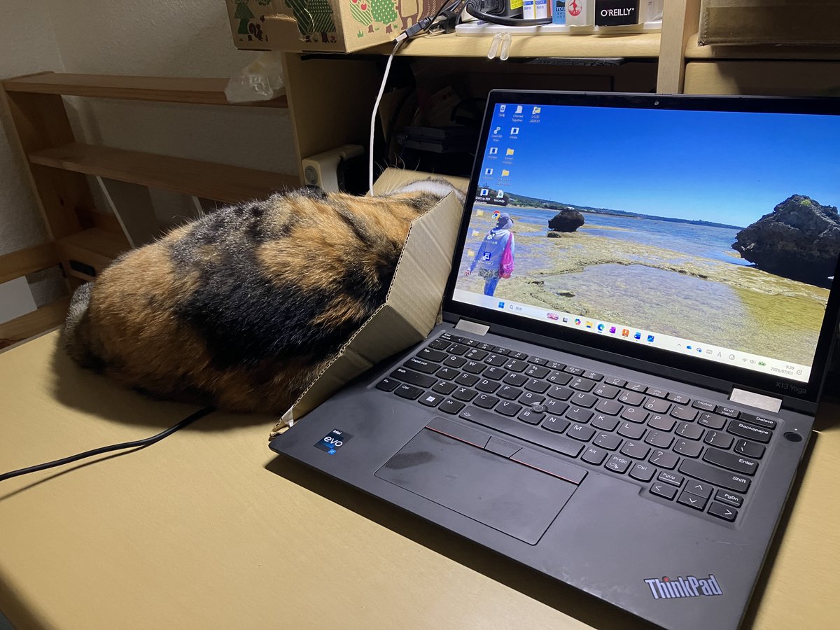 saoto28's tweet photo. Cardboard Cat Barrier #ThinkPadThursday https://t.co/YRo7VPLinw
