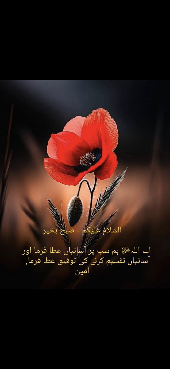 noorislam15362's tweet photo. السلام و علیکم 
  احساس اور احسان کرنے والا کبھی مفلس نہیں ہوتا 
  صبح سویرے اٹھنا اللہ کو یاد کرنا اس کا شکر ادا کرنا 
  اپنے پیاروں کو دعاوں میں یاد رکھنا اللہ کو بہت پسند
  ہے اللہ آپ کو اپنے رحمتوں کے سائے میں رکھے 
   آمین ثم آمین     صبح بخیر https://t.co/bkaNWyRFcI
