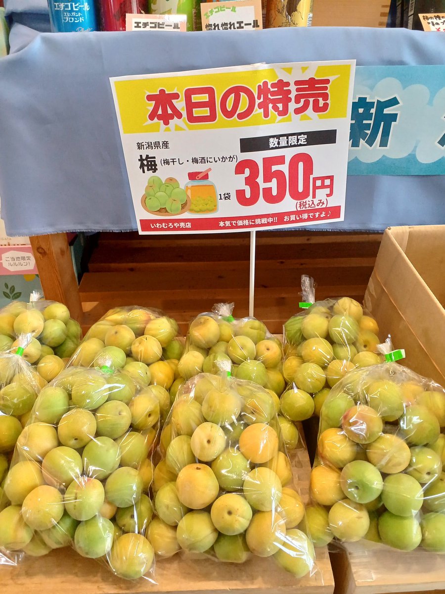 iwamuroya's tweet photo. 毎週金曜日はポイント2倍デー😊

本日オススメは『アボカド』

森のバターとも呼ばれ、植物性の不飽和脂肪酸がたっぷり！

アボカド　　　　￥90(税込
アンデスメロン　￥450(税込)
黄小玉スイカ　　￥600(税込)
栗かぼちゃ　　　￥350(税込)
青梅　　　　　　￥350(税込)

など

#いわむろや https://t.co/Ap9TFHUeou