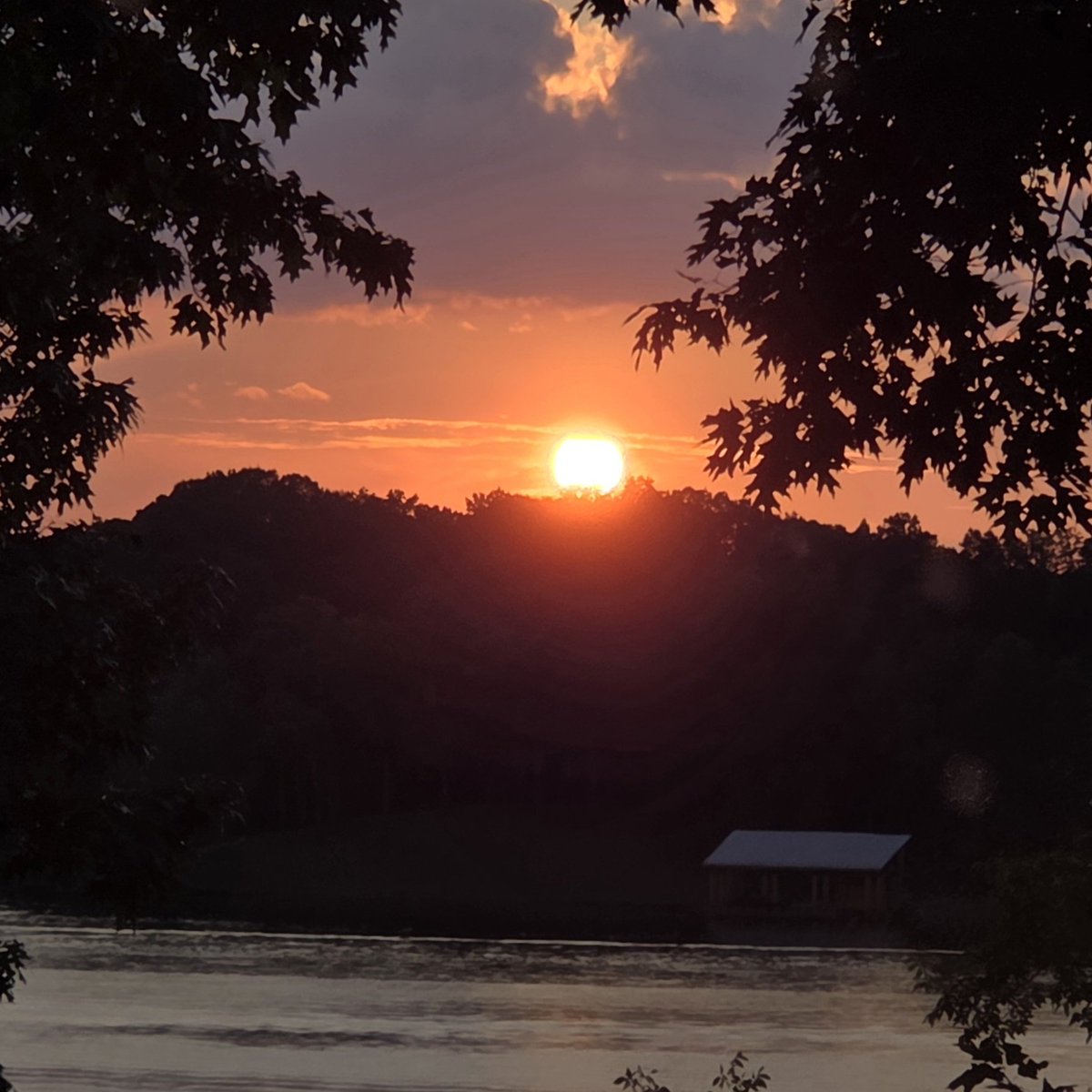 andpug's tweet photo. Outstanding sunset over Lake Tuscaloosa. Kicking off America 250! 🇺🇸 @spann https://t.co/IppHEMCax8