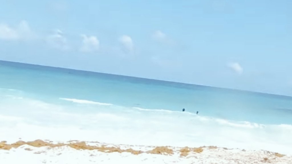 archivodoblem's tweet photo. Mar y Mario en Cancún 🤍 https://t.co/fBkWSlXuKF