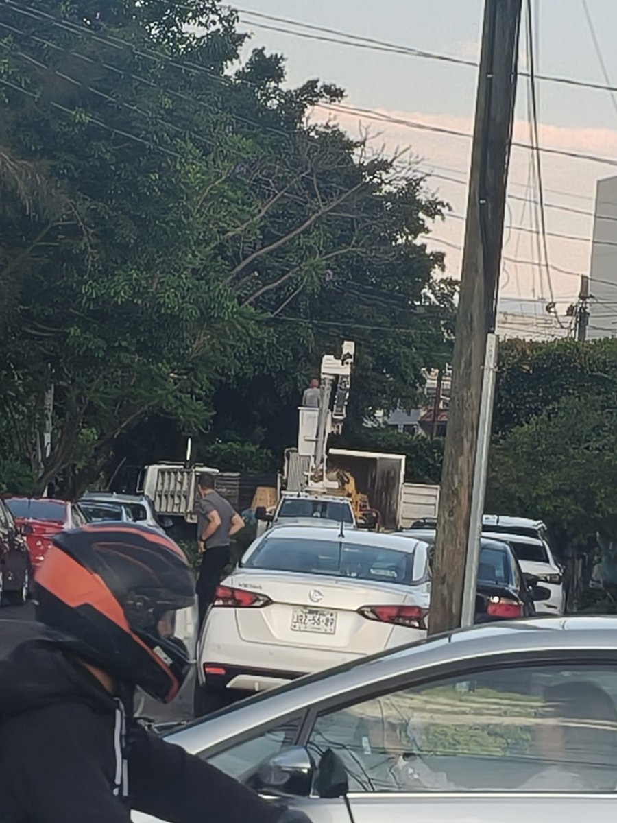 yolih17's tweet photo. @Trafico_ZMG @zona3 árbol caído en calle vía Láctea y Carnero en Fraccionamiento Arboledas. https://t.co/iU6onh4YhO