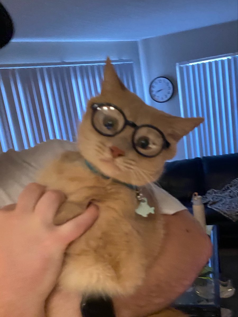 glickzac tweet picture