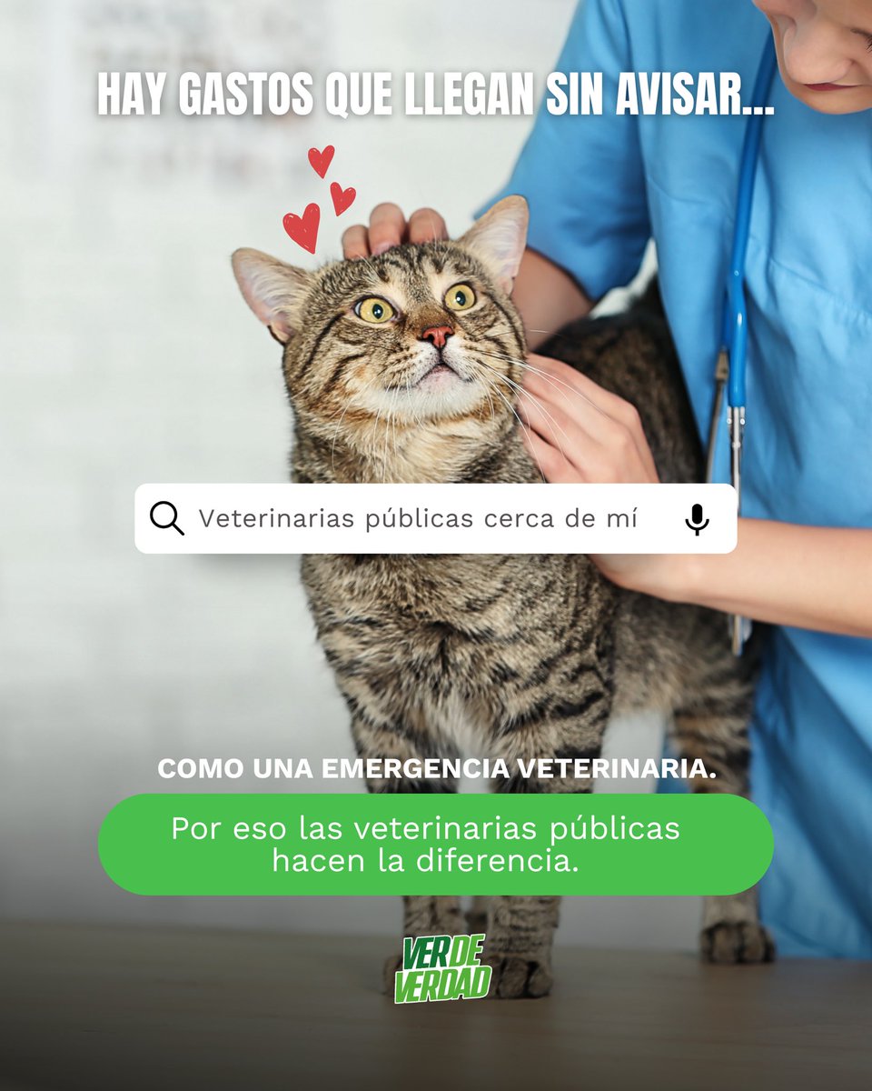 pepecouttolenc's tweet photo. Portugal | Una emergencia veterinaria no debería convertirse en una crisis para tu bolsillo. 💸🩺

Impulsar veterinarias públicas gratuitas y de calidad en el #EdoMéx es #VerDeVerdad por el bienestar de las familias y sus mascotas. 🐶🐱💚

¡La salud animal debe ser un derecho y nunca un lujo! ✨