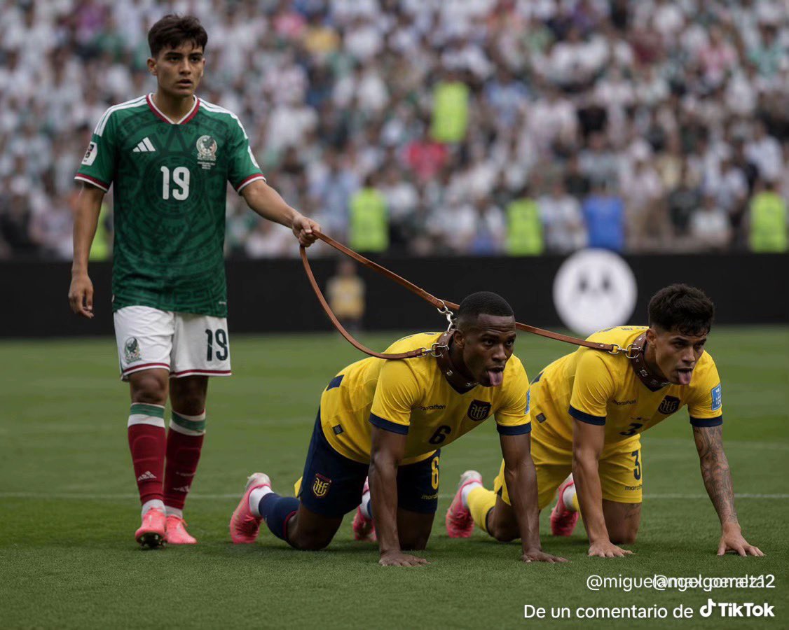 EhsnaiderS's tweet photo. @ECUAGOL @Andres_Vaca_ @fifamedia https://t.co/VX1VZfQALc