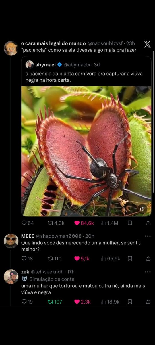 luisoconnell_'s tweet photo. lembrei dessa relíquia https://t.co/DZqhSjenhi