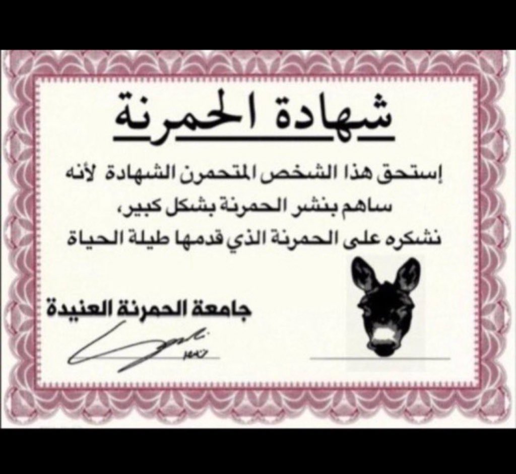 ABO_MUSAAED's tweet photo. يا حمار تم شرايك بموجب عقد مع عبدالخالق عبدالله المجنس ايراني الجنسيه .
يا رخيص تأليفك للكلام بهالسردية من كيس امك. ياعمار .
نعلم عن الطيارة اللي خرجت من ابوظبي وعليه 6 شخصيات و اتجهت الى طهران و دفعتوا  10 مليار مقابل توقف قصفكم و بعدها بالفعل توقفت ايران ممثلاً بالحرس الجمهوري من ضرب  #دويلة_الشر