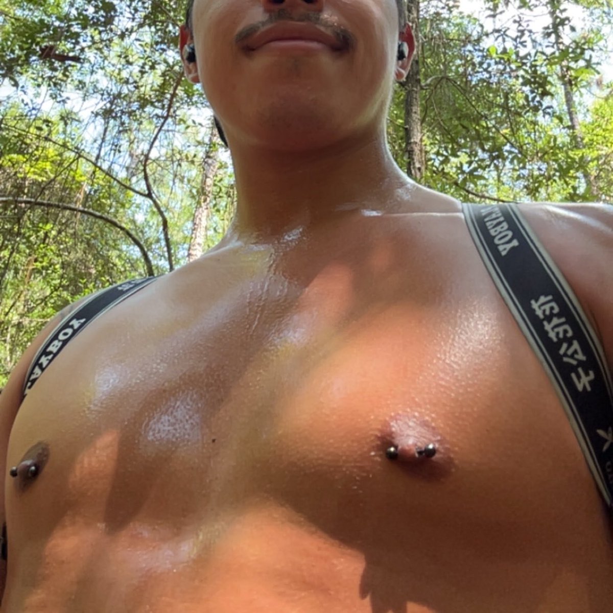 GooseJff's tweet photo. Bro let’s go running in the woods. https://t.co/PlHf7MVbbk