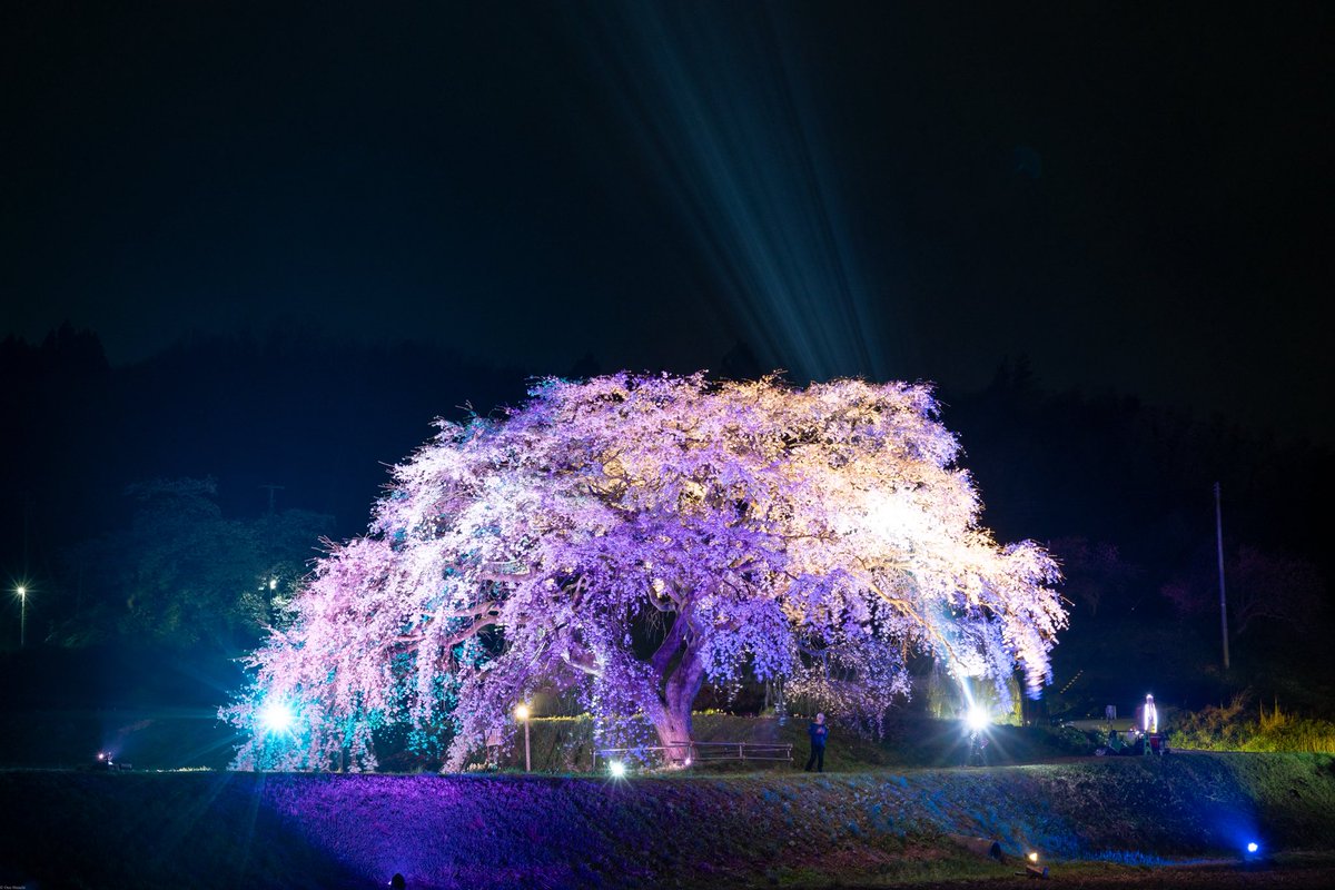 qzd13650's tweet photo. 昨日の結果と、やっぱり #芳水の桜(^^)
10,997steps, 7.82km, 2,632kcal, 74min, 5h17m

#fitbit #google_health
#visitfukushima
#nikonzf
#nikkor Z 24-200mm f4-6.3 vr https://t.co/DO9gzOCPqC