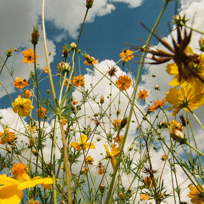 The_Ent_Factor's tweet photo. Tasha's fourth album YOU ARE SPRING! has been released by Bayonet Records
https://t.co/lbMVht6E51
#music #newmusic #rock #indierock #alternativerock #youarespring #tasha @Bayonetrecords https://t.co/yXnCfNUFjE