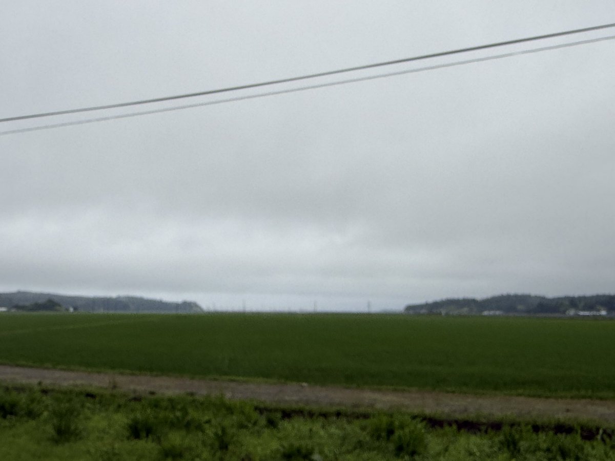 aragas38's tweet photo. おはようございます！相馬市の定点撮影ですよ(^^ゞ昨日からの雨がそろそろ上がりそうです！アガパンサスも水滴でお化粧しています（笑）さてとワールドカップ見たいけど行って来ます（笑）#空ネット https://t.co/Dxjh9Fwq88