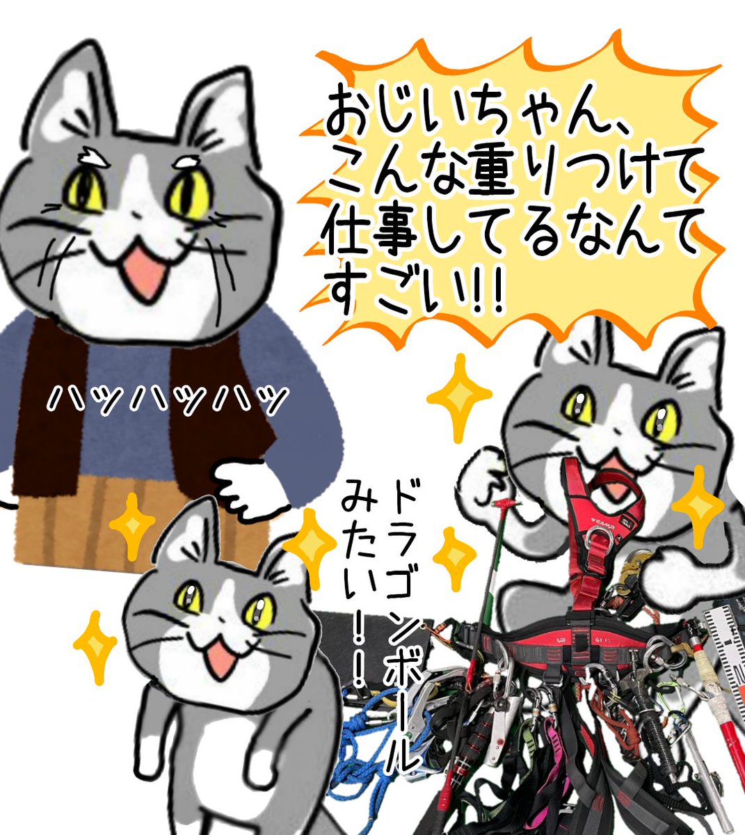 karaage_rutsubo's tweet photo. なにげなく歩いてる人が実はすごく重い装備をしているの、ドラゴンボールみあって好き #現場猫 https://t.co/lnB4pYXigz