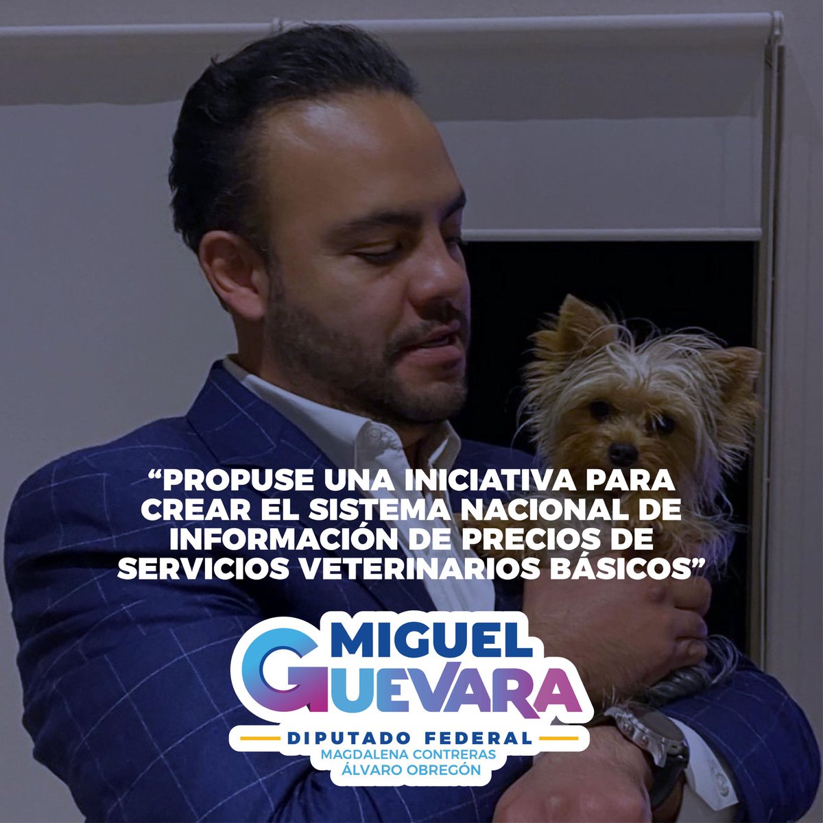 Mig_Guevara's tweet photo. Tener una mascota es hermoso, pero su salud no debería de ser un privilegio.  Propuse el Sistema Nacional de Información de Precios de Servicios Veterinarios para garantizar cuentas claras, evitar abusos y proteger la economía familiar. https://t.co/iKzUZxFoW0